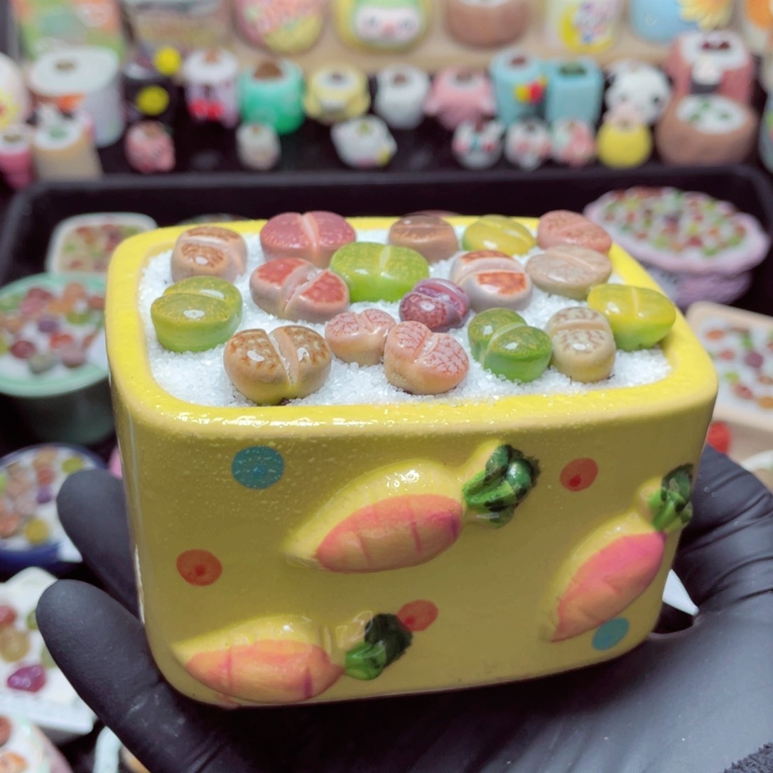 w5766--带盆土发货，零下地区拍保温箱