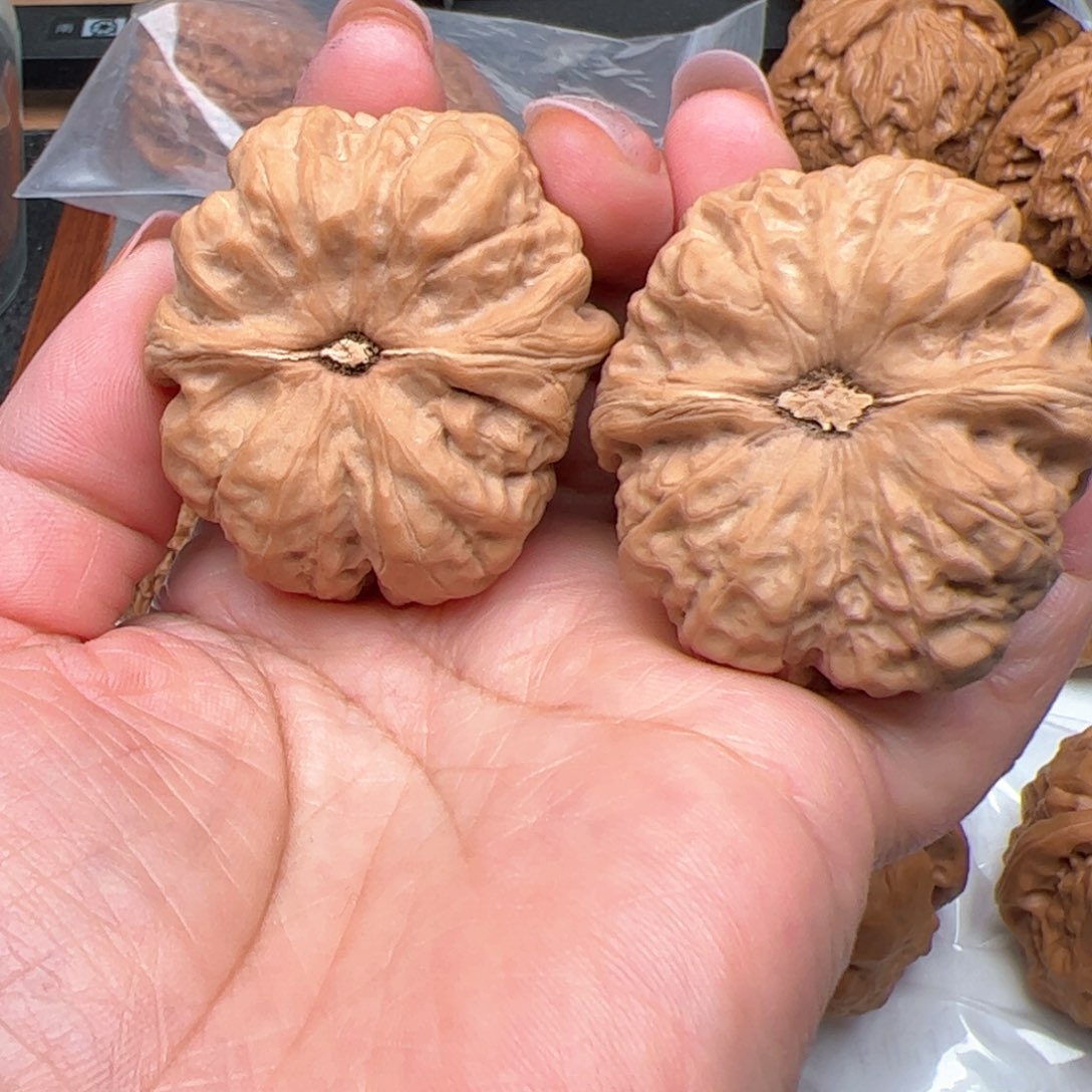 文玩核桃把件蛤蟆红