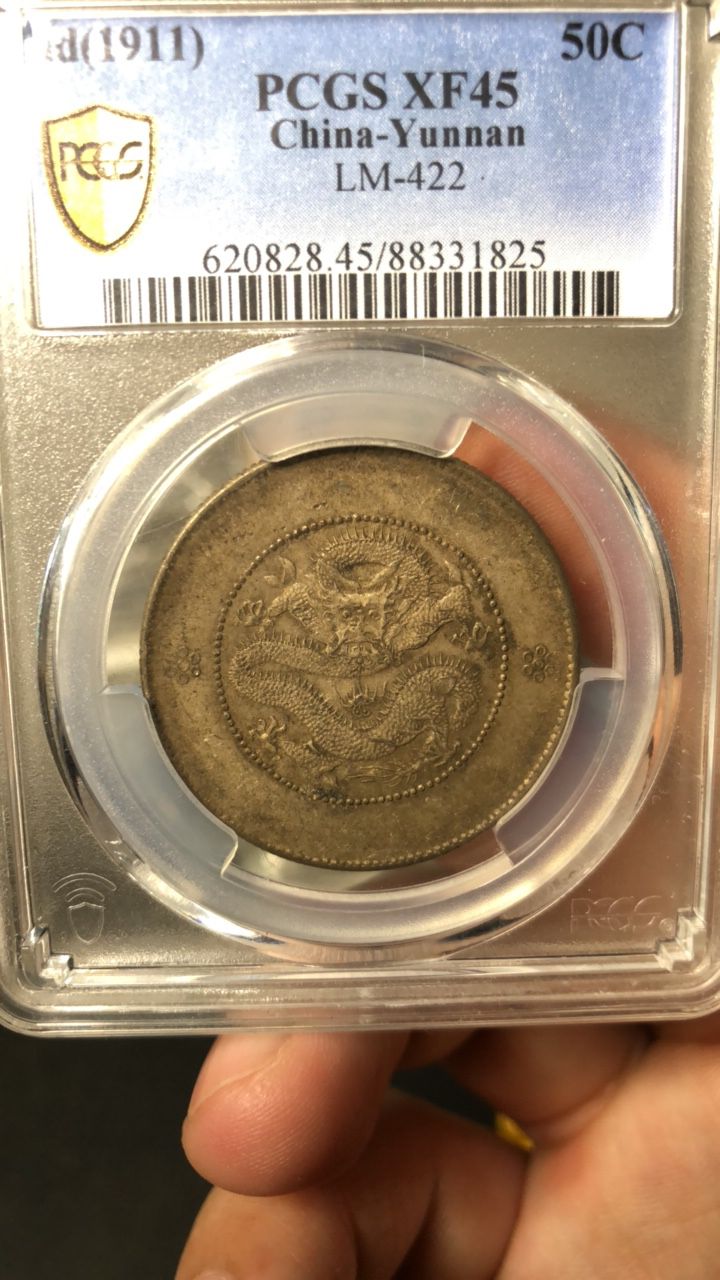 云南半圆龙-马尾龙