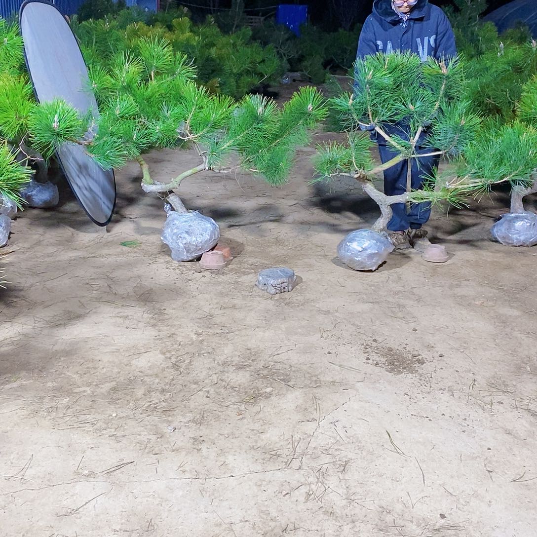 完全开放11111111111111111