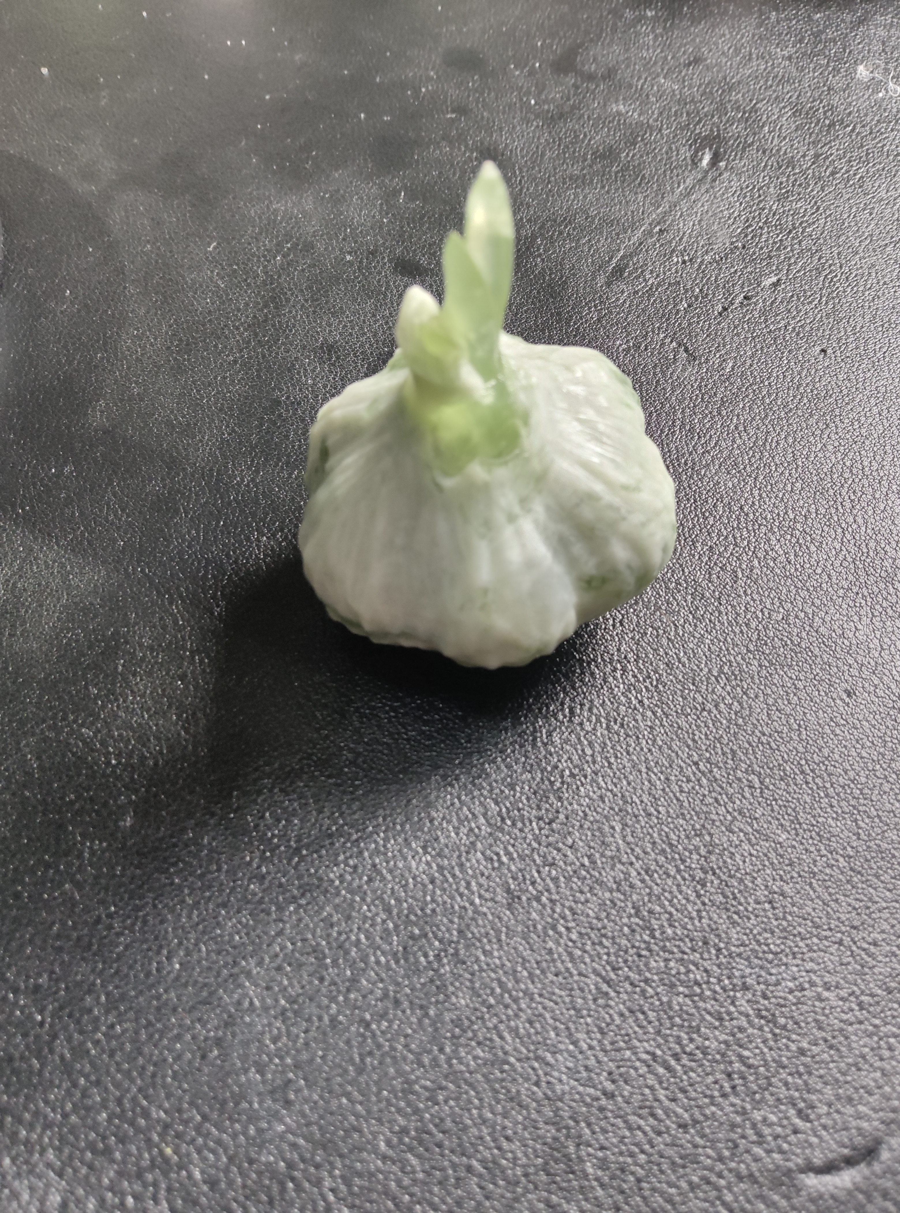 岫岩玉石天然蒜蒜