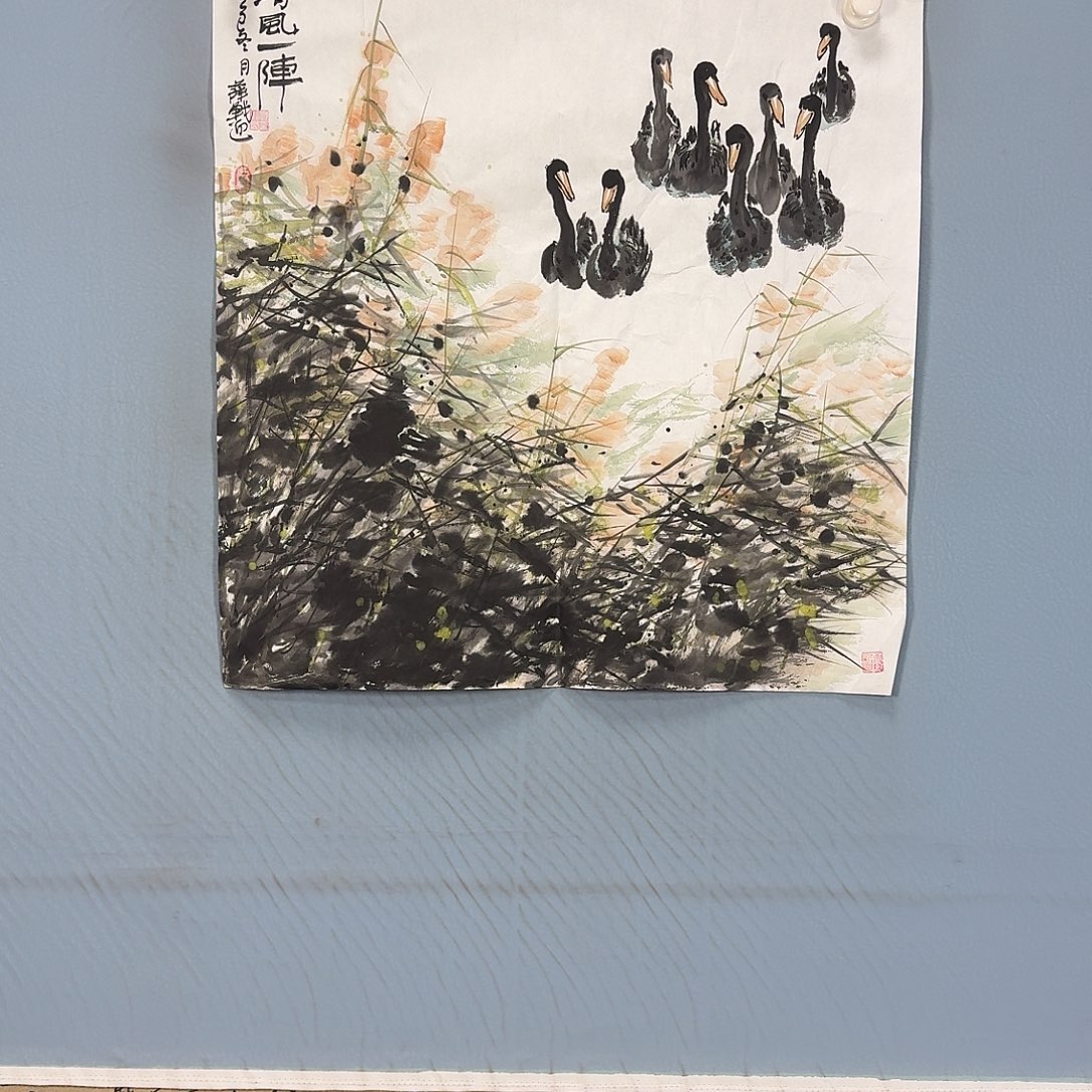 国画1356 牡丹一如您初来