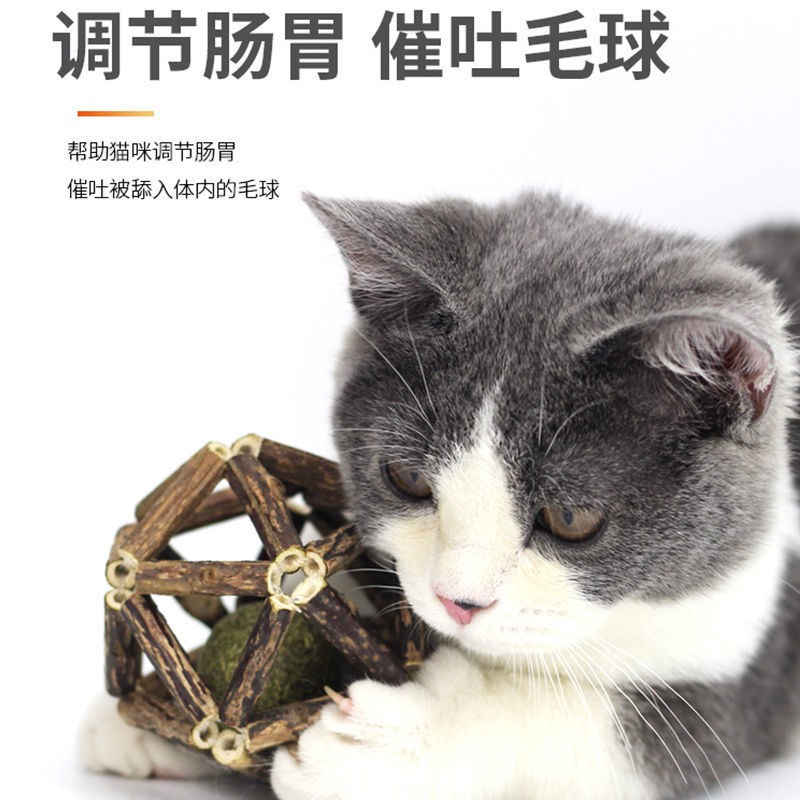 木天蓼猫薄荷猫咪玩具磨牙棒猫草球逗猫棒自嗨解闷神器小猫玩具球