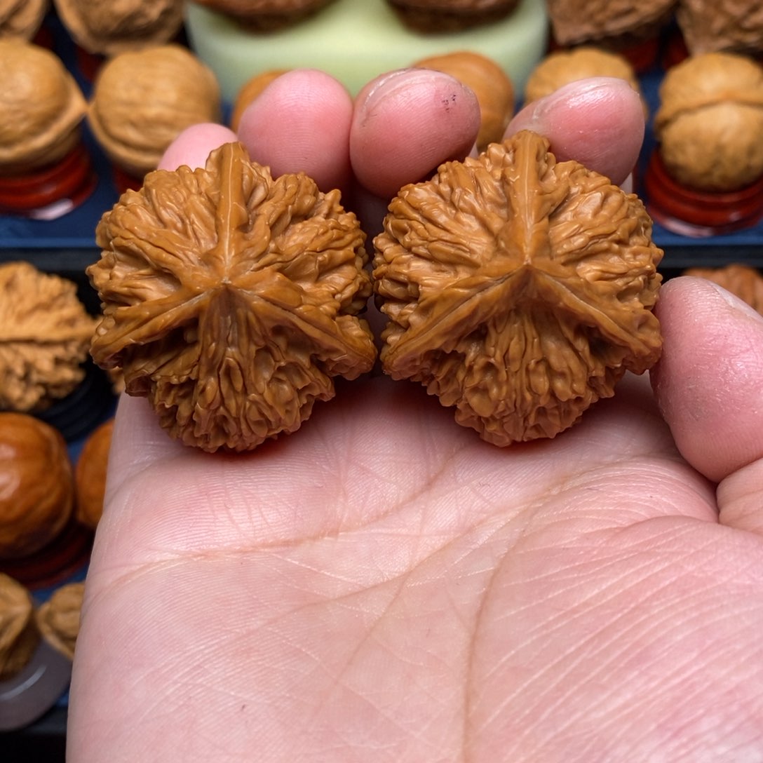 文玩核桃把件手捻正奔