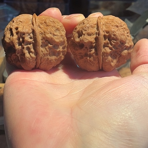 文玩核桃把件老疙瘩带彩磕尖43