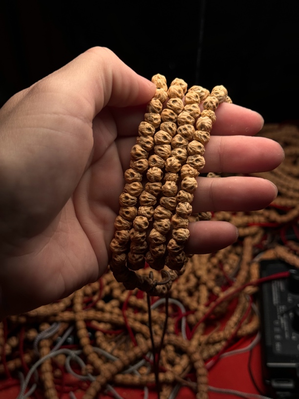 热振柏香籽斜切尾花鬼