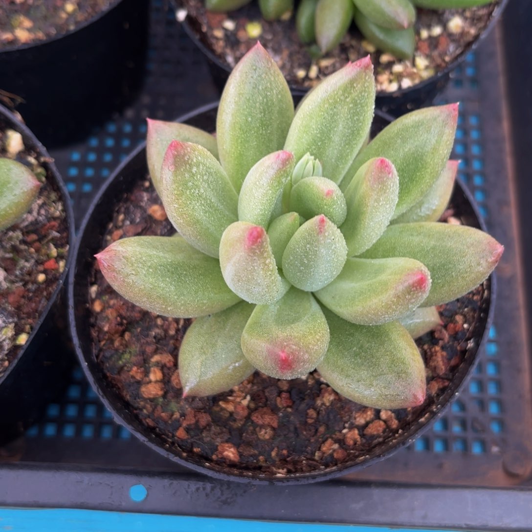 Jbkkjjjjjjhbhjjhhhjjhhhhv