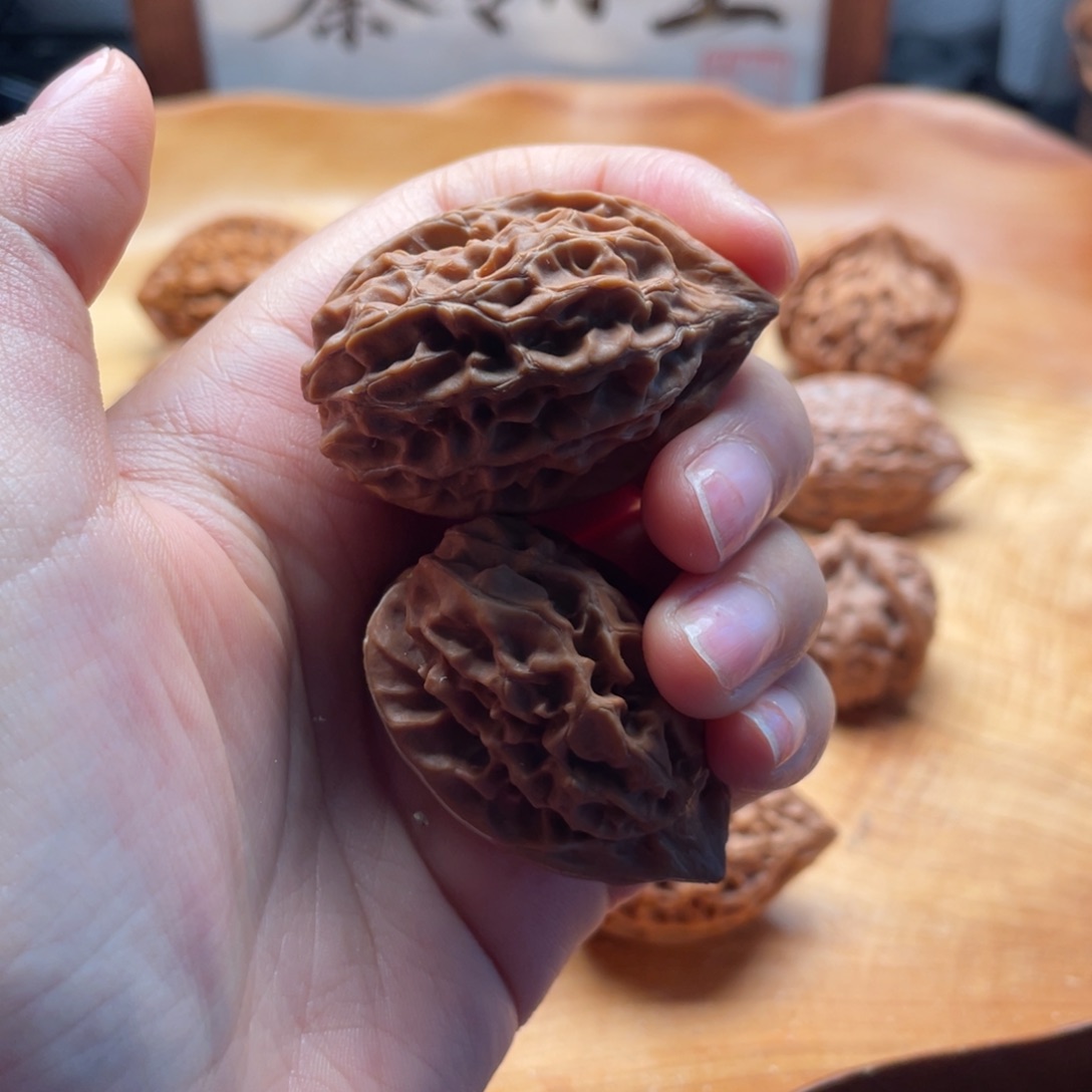 苇***茸手串/手链核桃秦岭野生鸡王