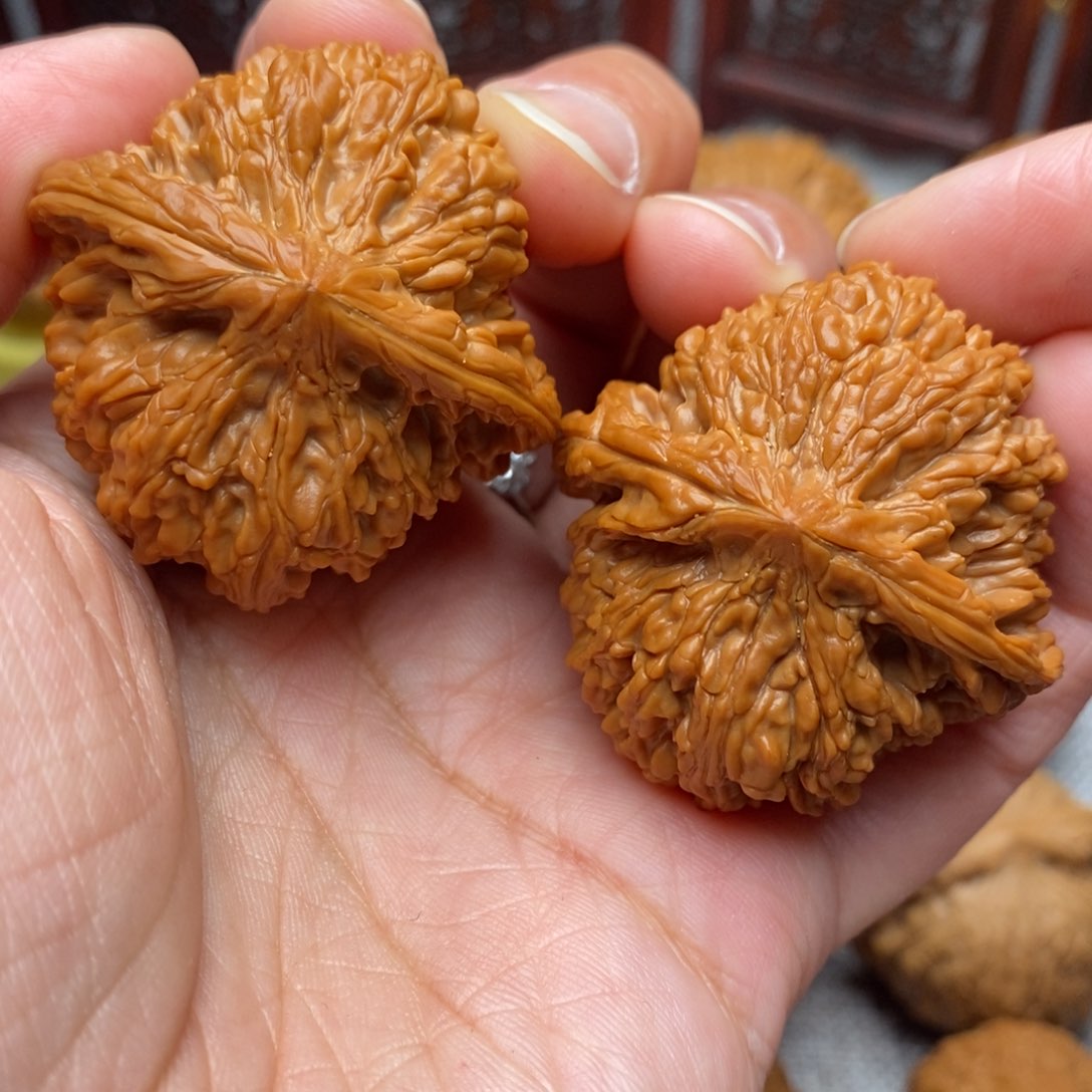 文玩核桃把件毕业精品满天星40尺