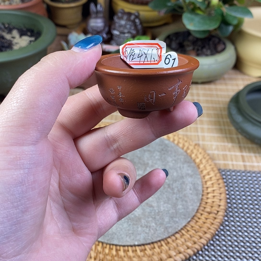 宜兴紫砂精品花盆