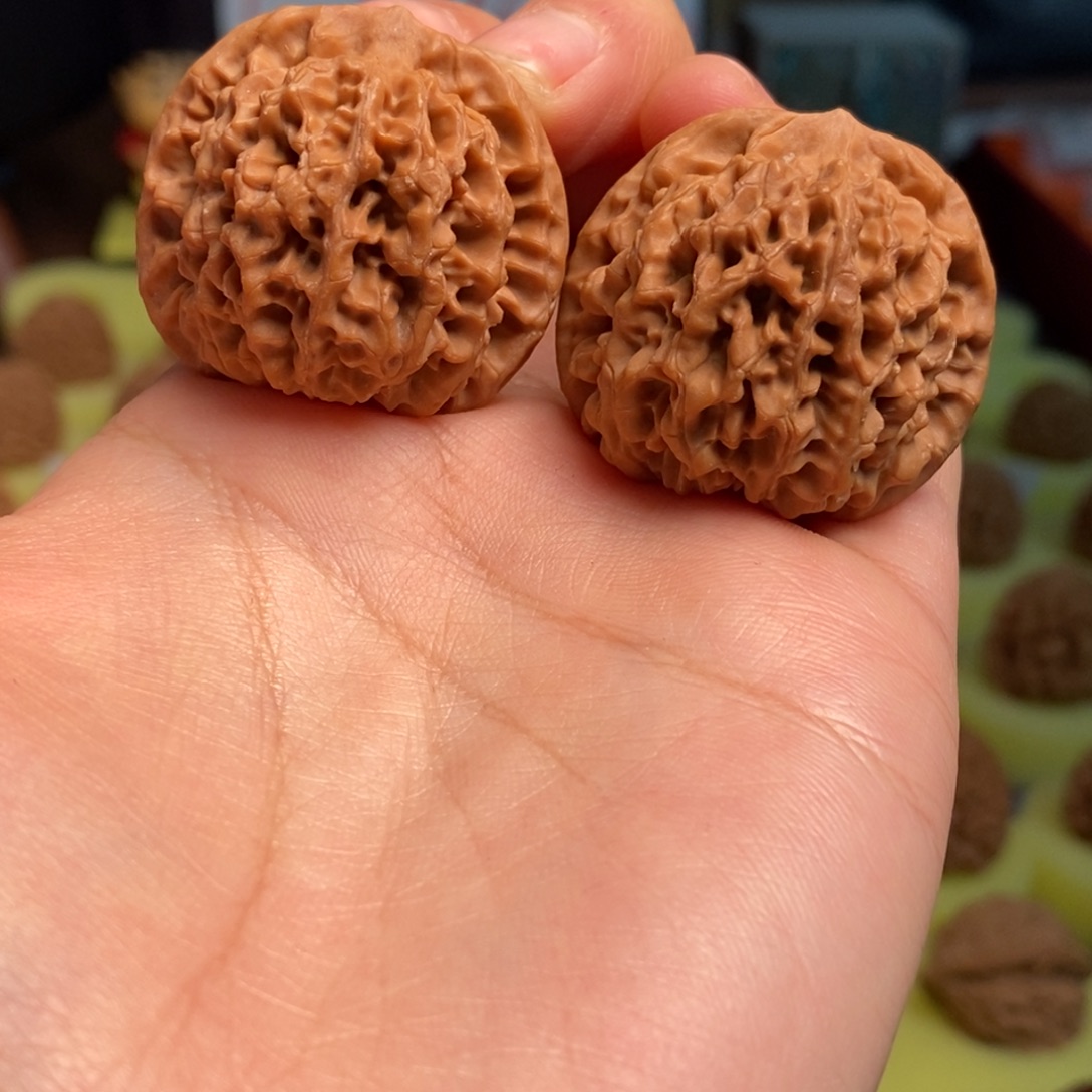 核桃秦岭闷尖狮子头35微瑕