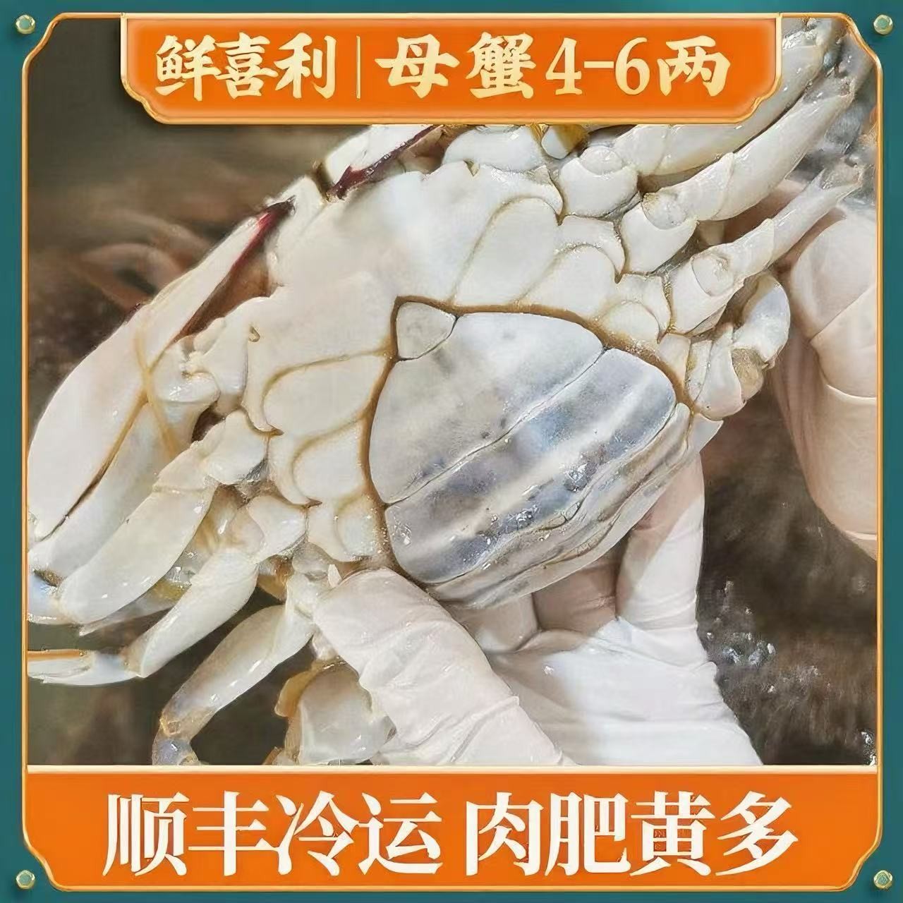 N 舟山母蟹梭子蟹5两左右/只(8只4斤左右，含赠品)不可清蒸【冻蟹】