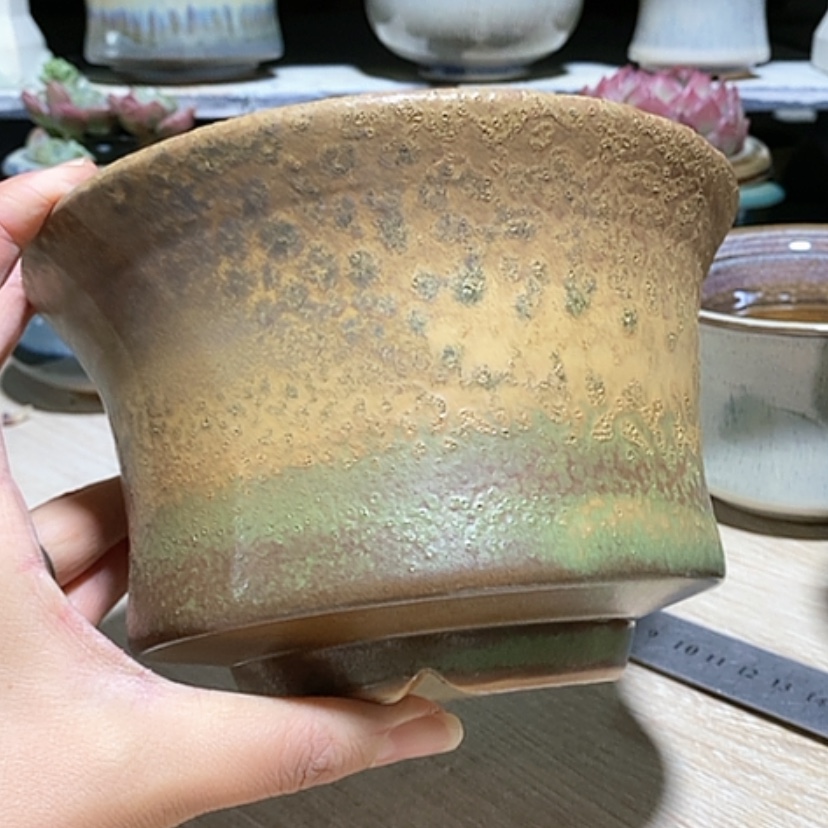 【闪购商品】红陶口16