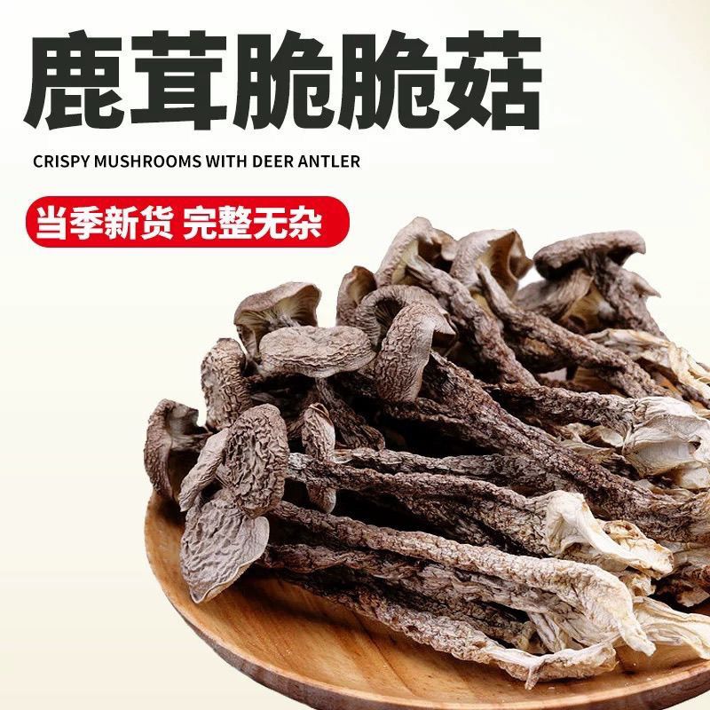 农家高山精选鹿茸菇头茬菇土特产无硫无熏干货可煲汤炒肉脆爽可口