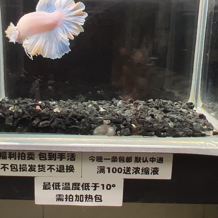 斗鱼跑单拉黑3日76