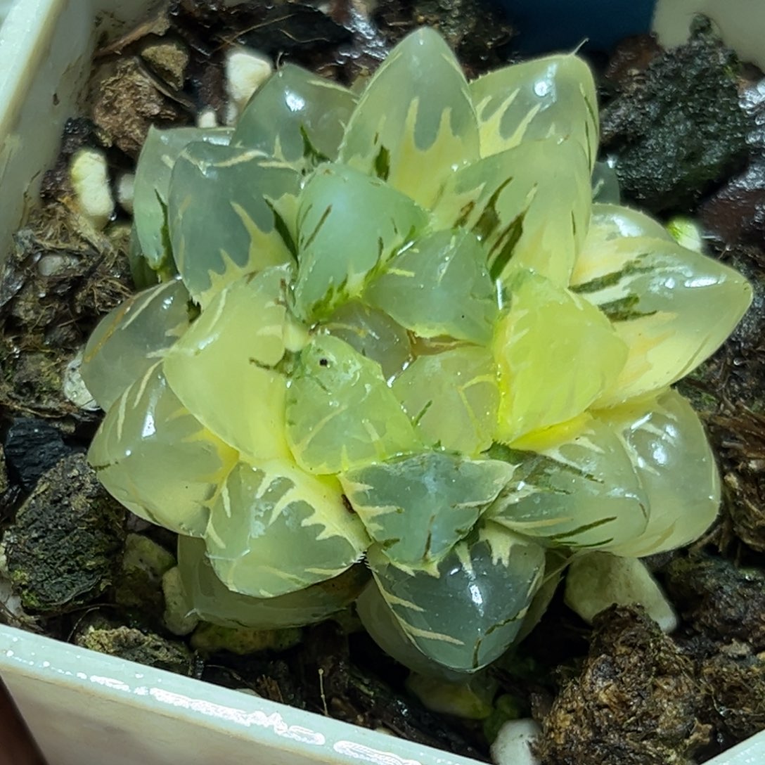 恭喜发财大吉大利0409