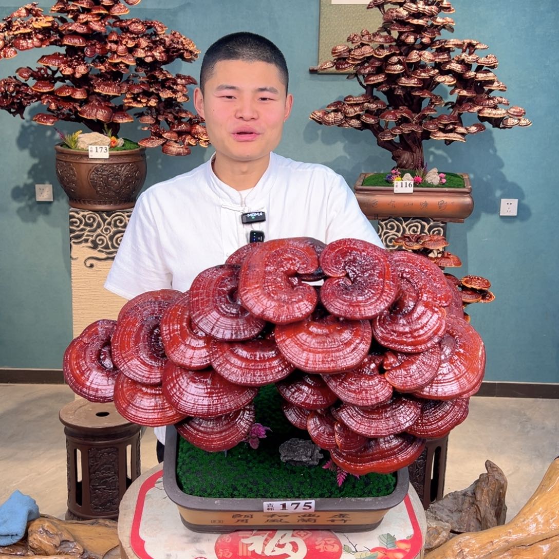 无花朵88888888888