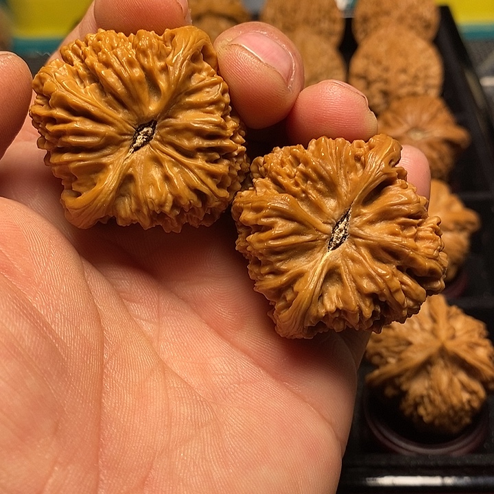 方***圆把件文玩核桃41加南疆
