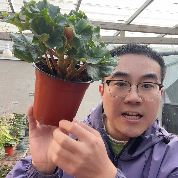 晚***》完全开放公主粉包邮