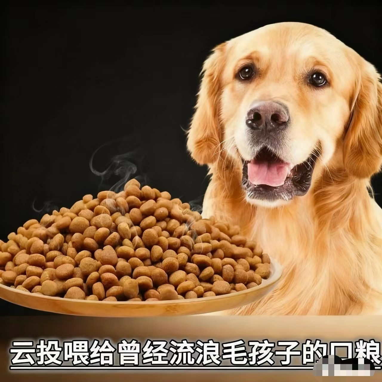 关爱毛孩子全犬期全价粮