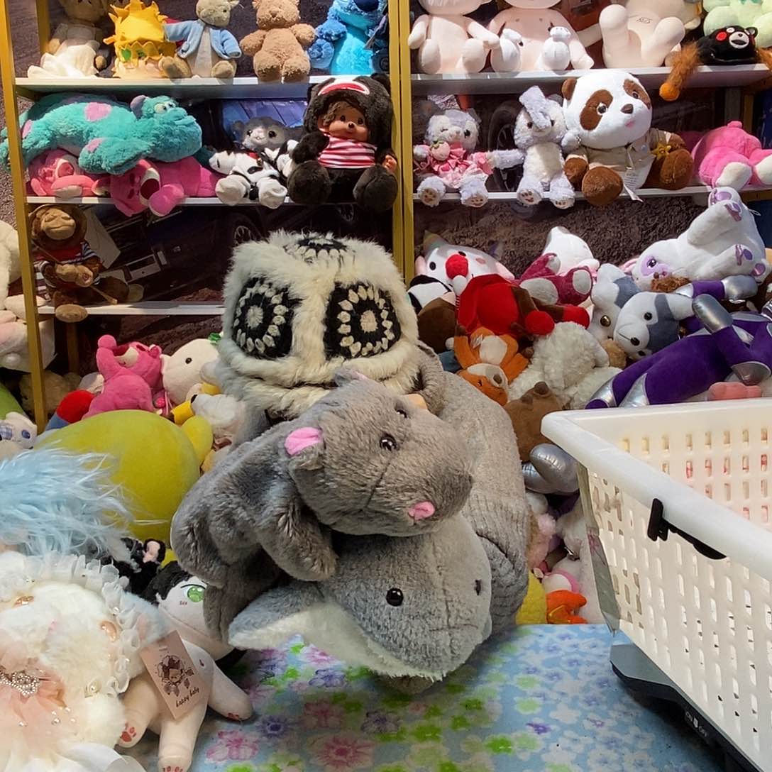 毛绒后****?毛绒玩具292