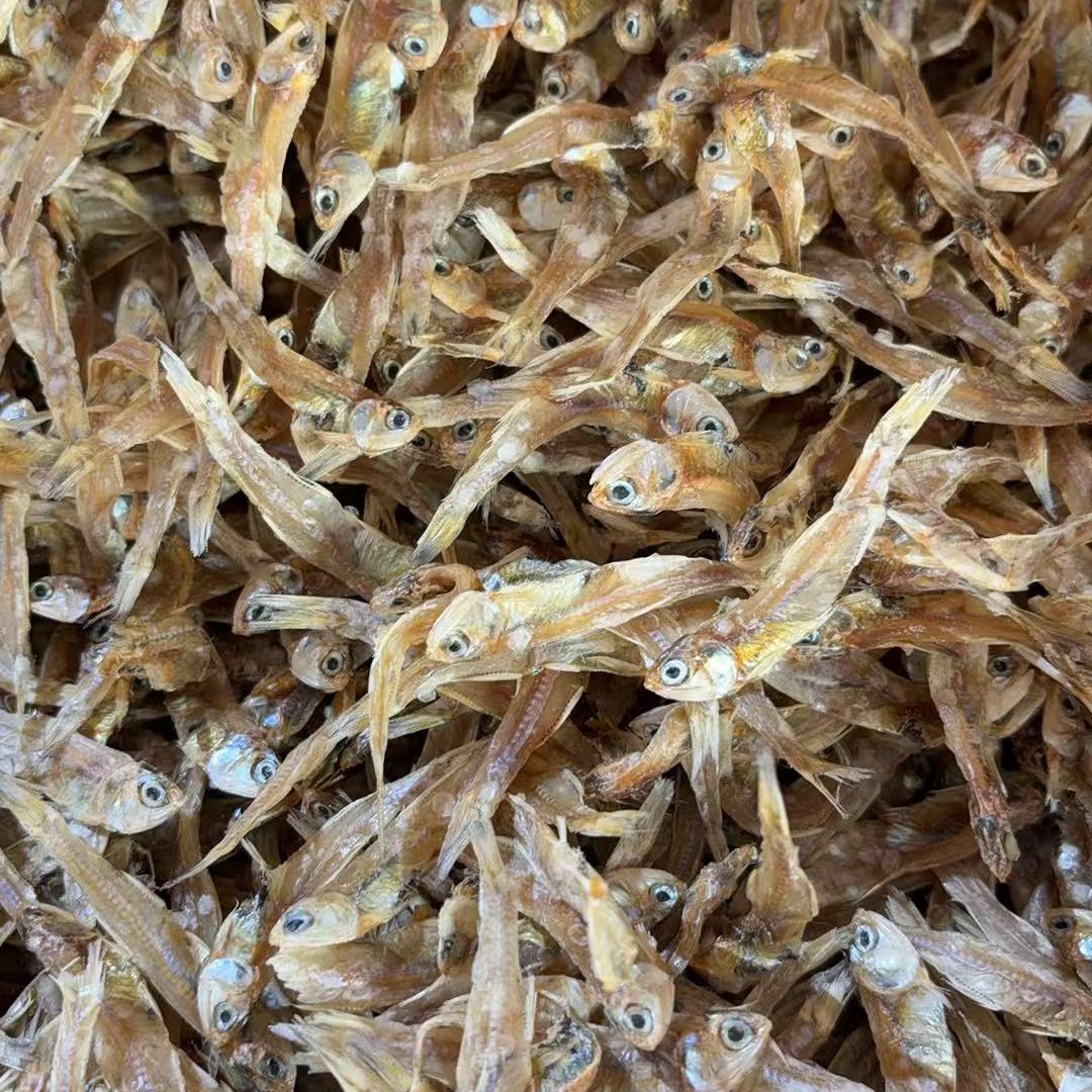 汕尾本港儿子海燕鱼仔江鱼仔淡口鱼干干鱼正宗自晒小鱼干计划好看