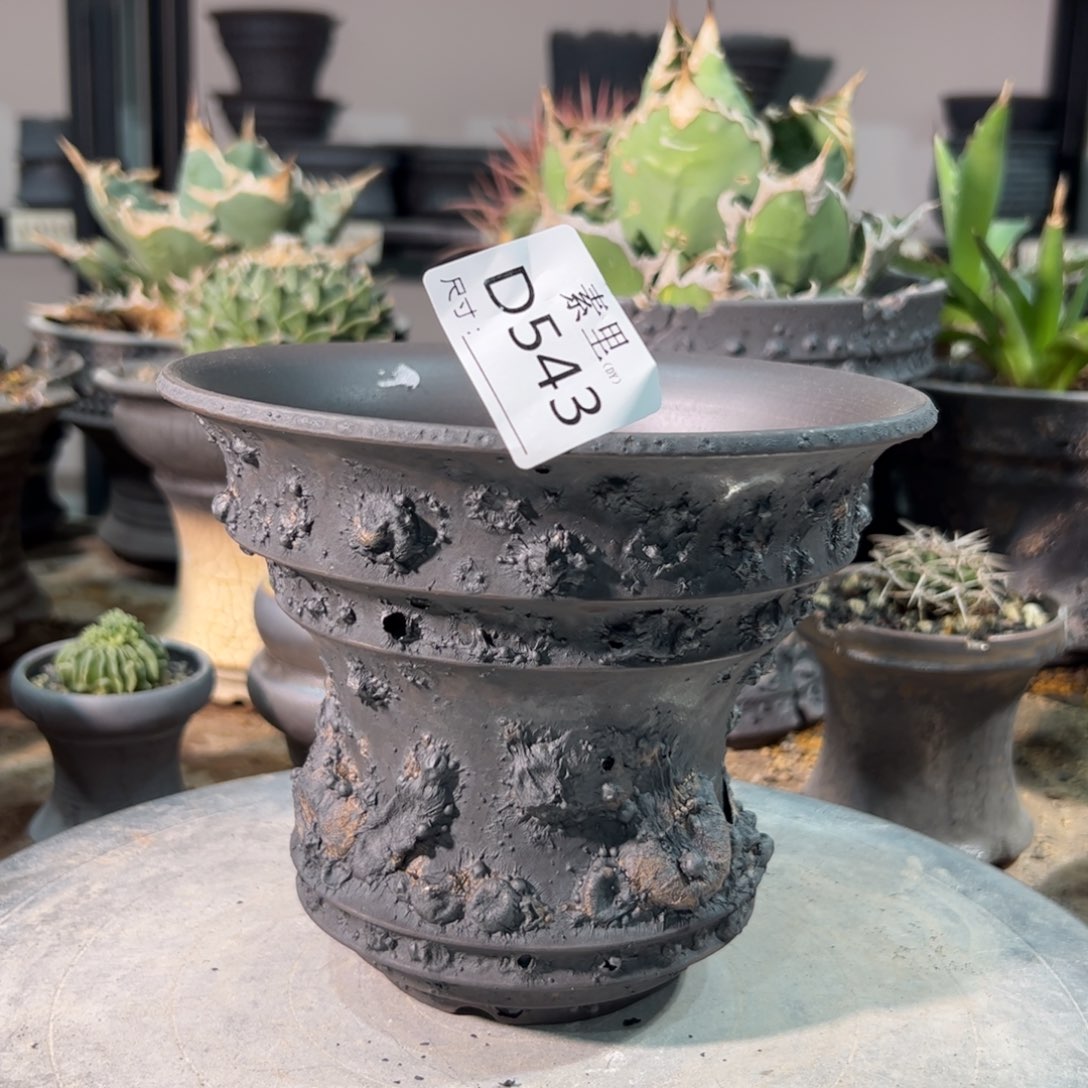 景德镇素里手工内口16.3高13.5