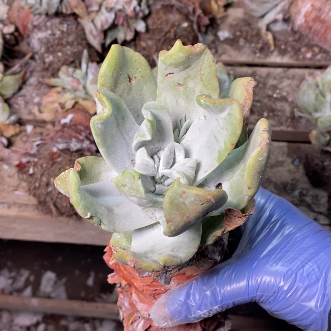 1948哈哈哈哈哈哈哈哈哈哈哈哈哈哈