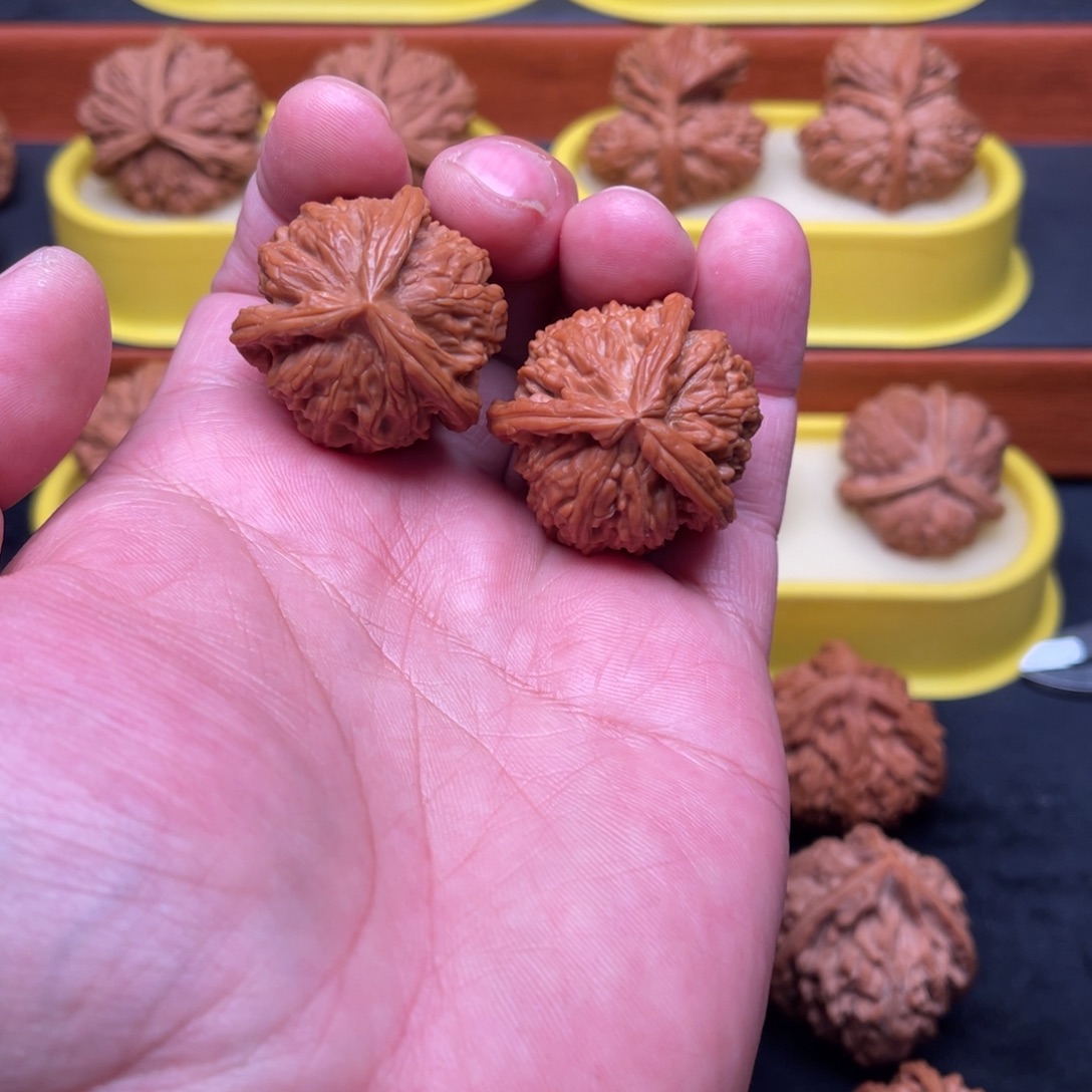 核桃手串/手链白狮子三棱34