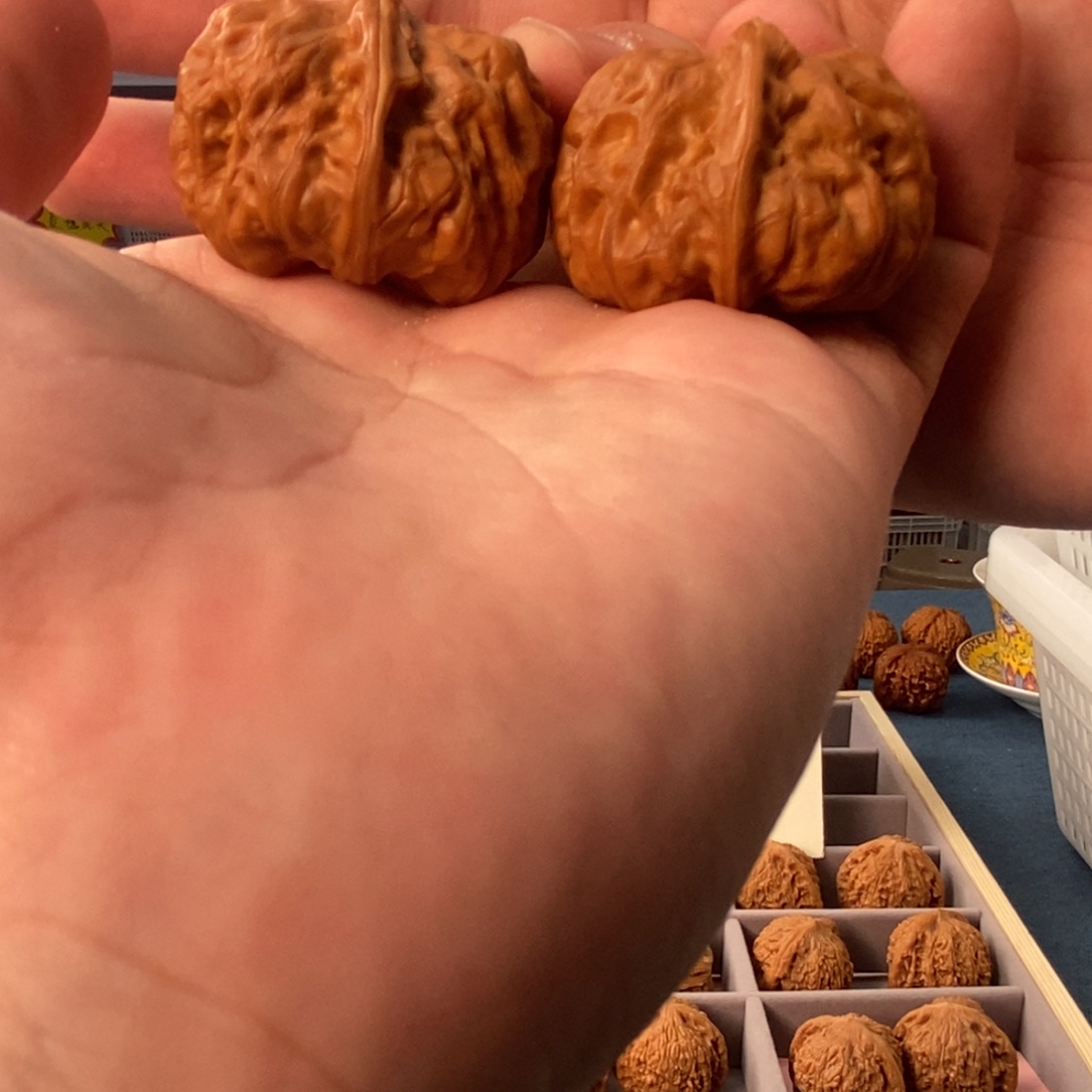 把件文玩核桃全品门头沟元宝33