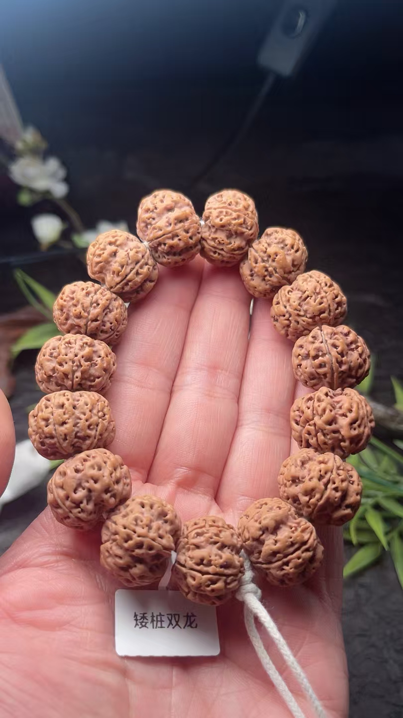 【私欲品质】五瓣原籽爆肉双龙纹梅花桩老树款