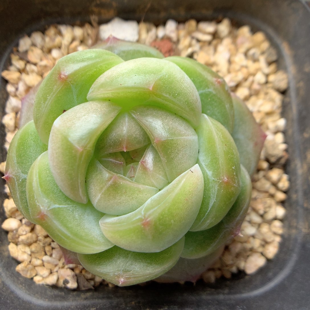 W128优选珍妮y y y y y y y