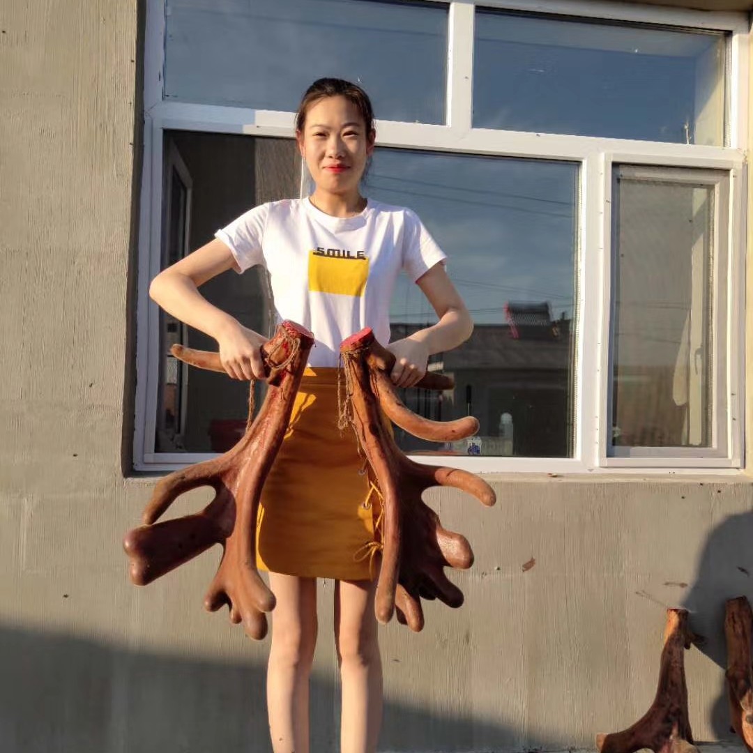 鹿乡鹿茸枝改价链接以实际为准
