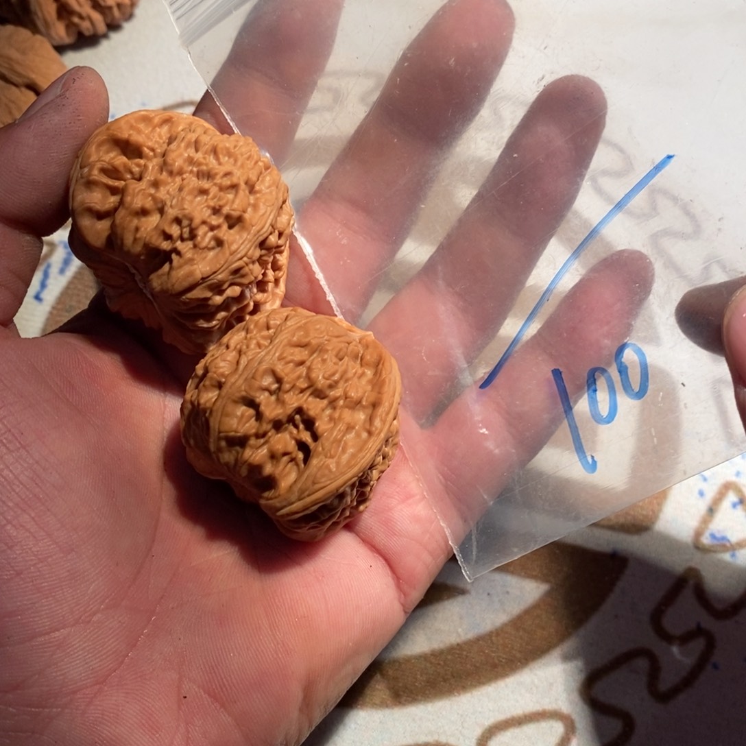 毛***丫手串/手链核桃100