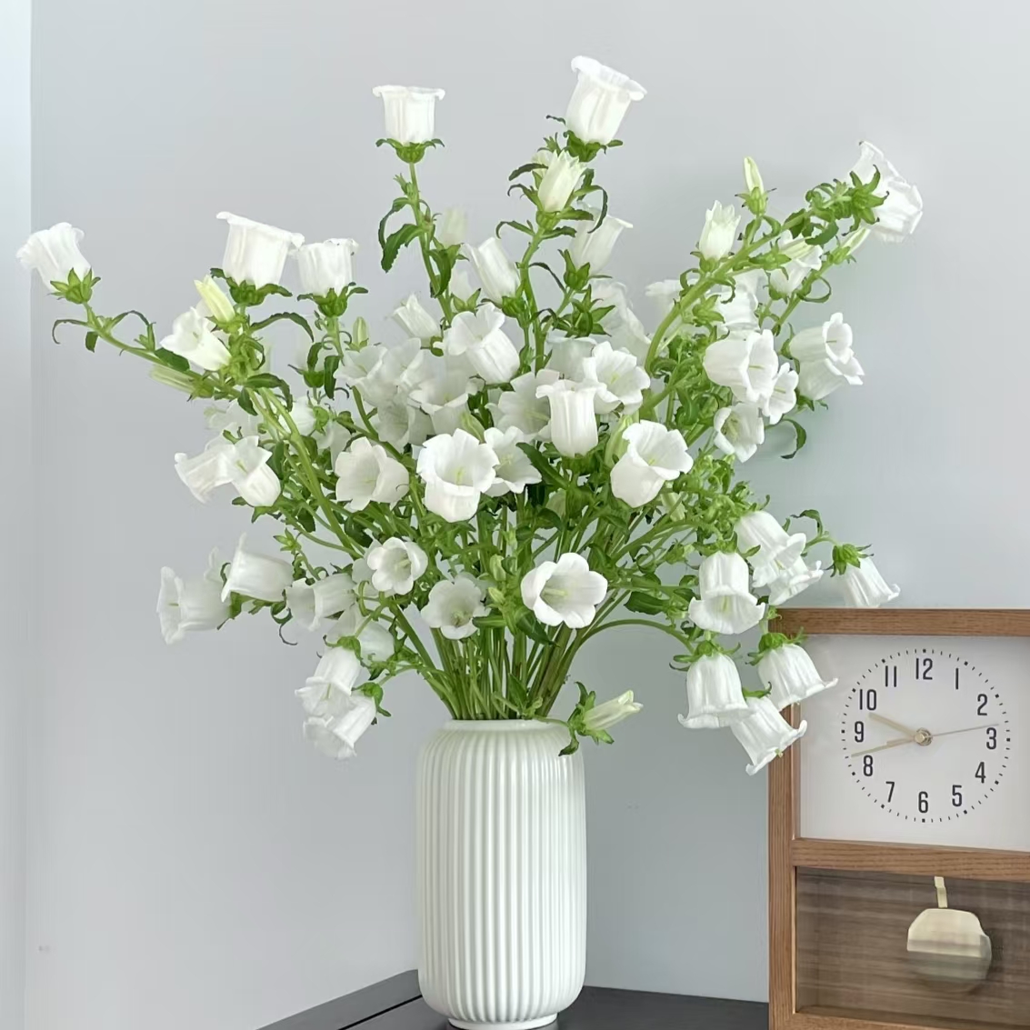 【黄梦宇】白色风铃花-全场鲜花任意满两单及以上包邮送货上门