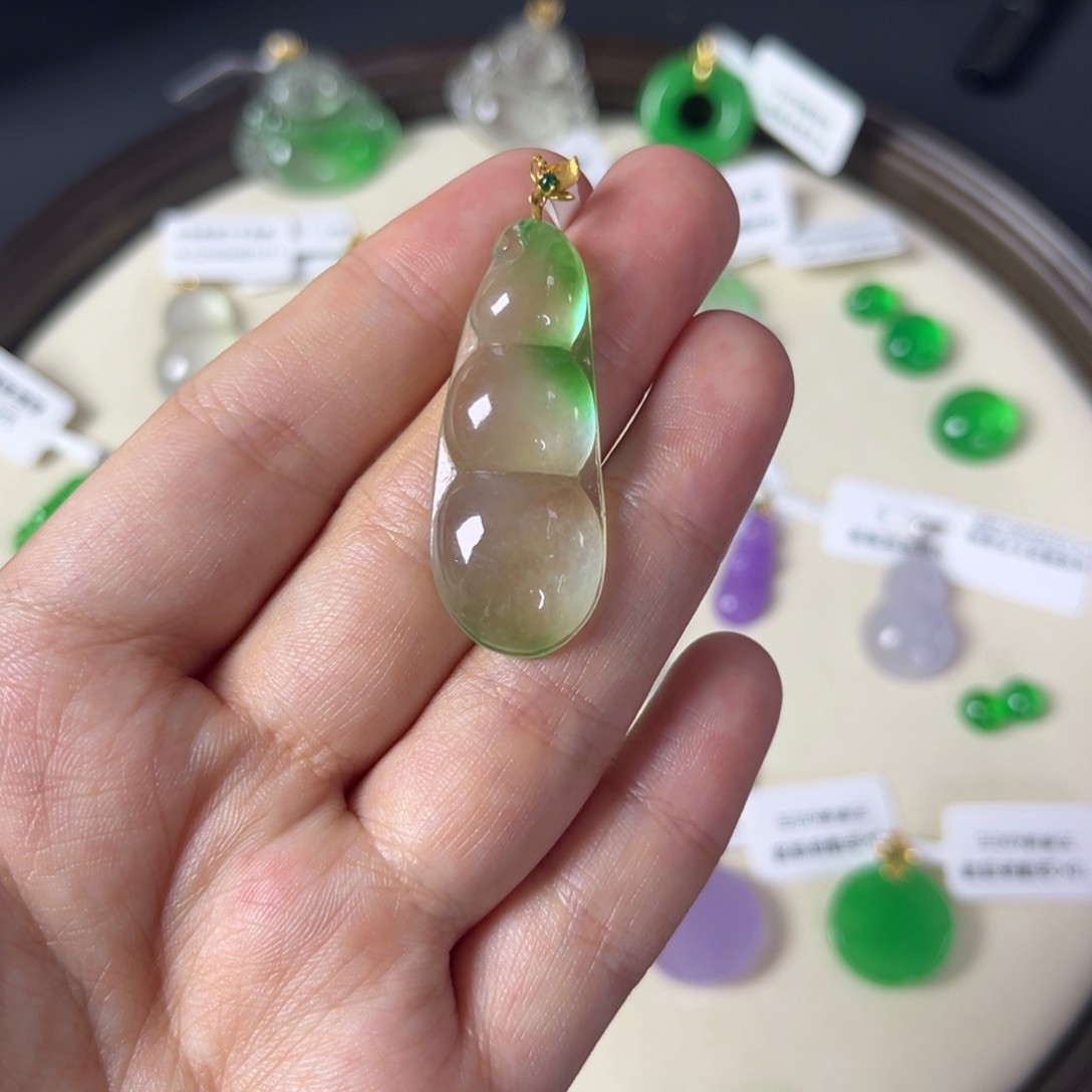 蜜**焙福豆直播编号S9919