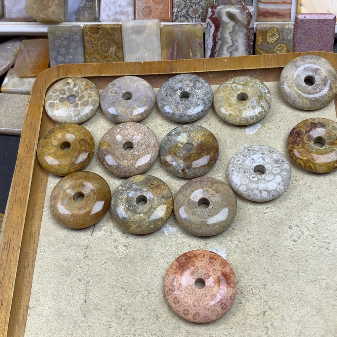 笨****硅化珊瑚（珊瑚玉）未镶嵌珠宝奇石