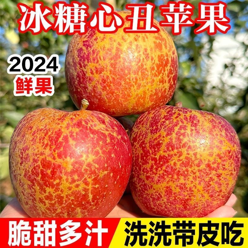 【正宗、昭通丑苹果】1云南昭通糖心丑苹果现摘现发