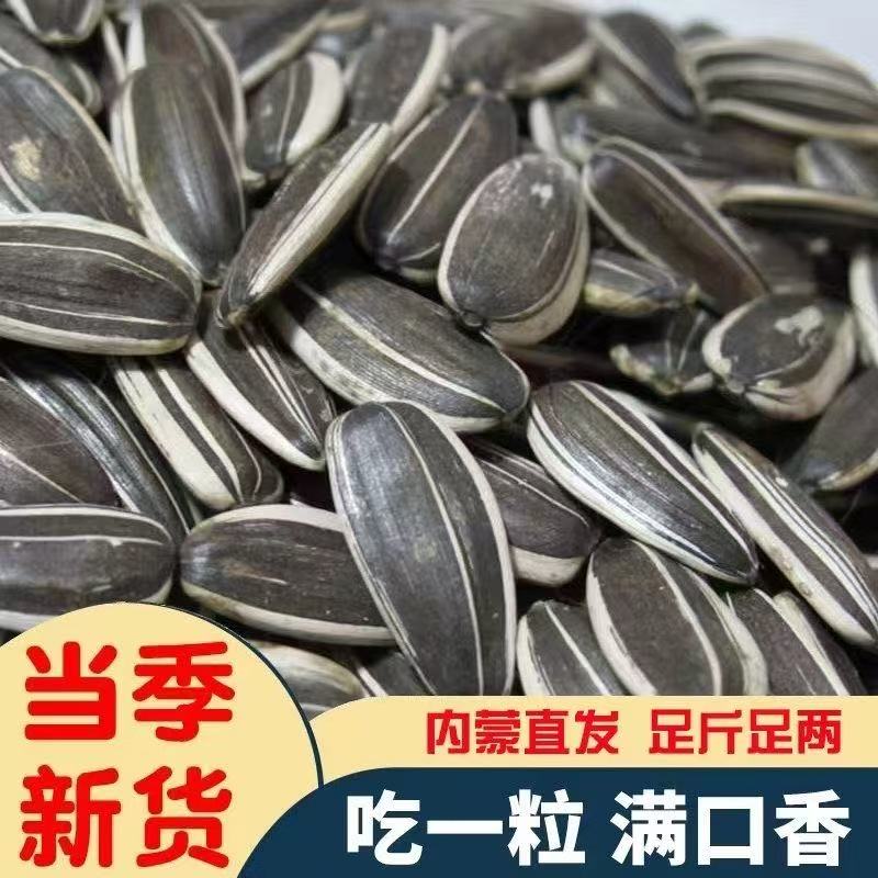 买一斤送一斤）内蒙生瓜子原味生葵花籽向日葵瓜子葵花瓜子