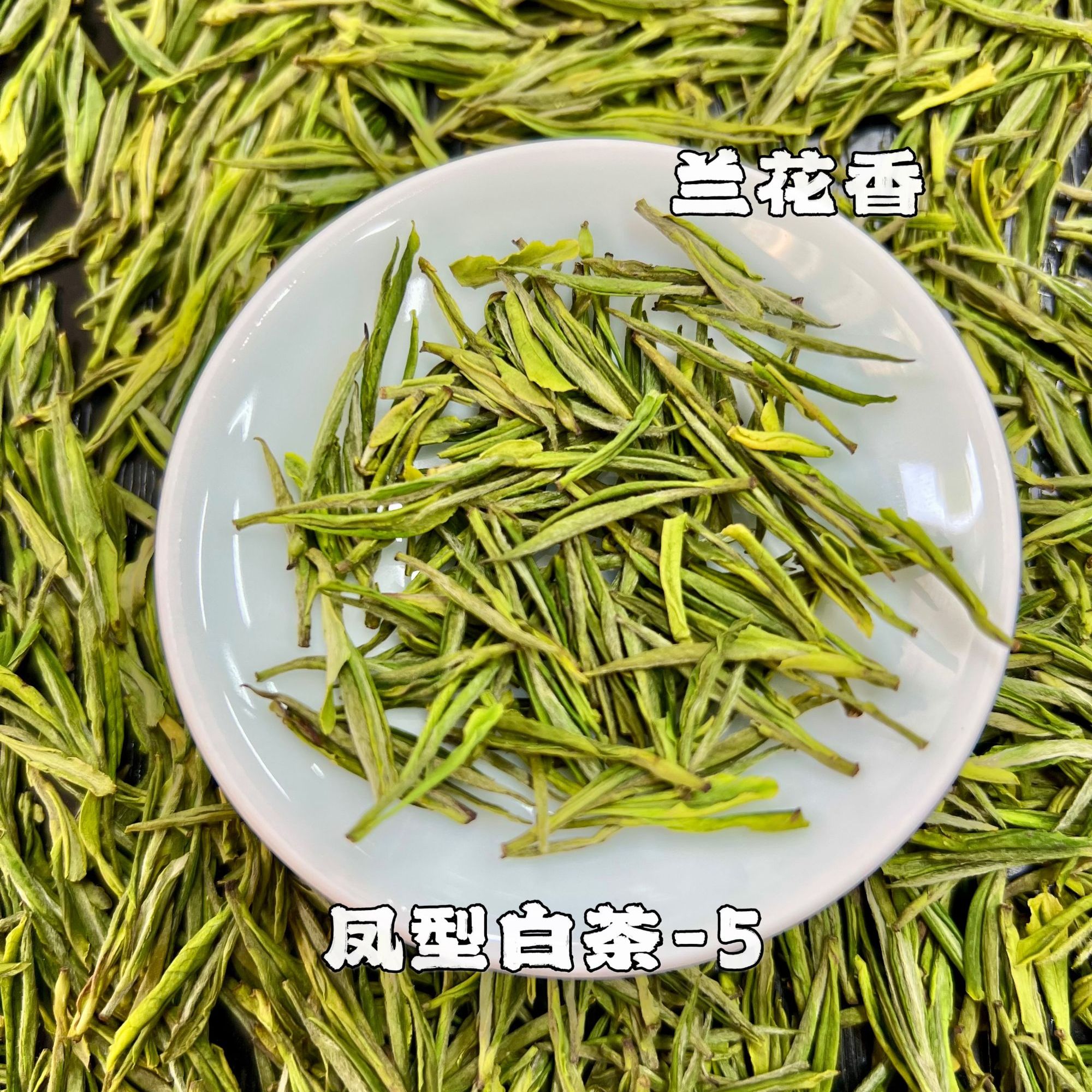 5-6-6*【凤型白茶】「兰花香馥郁」2025春高山茶