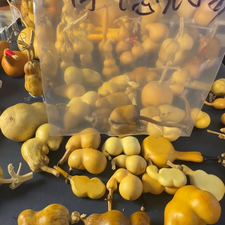 厚***物绒面大哥就家家户户哈哈哈哈哈哈哈姐姐好