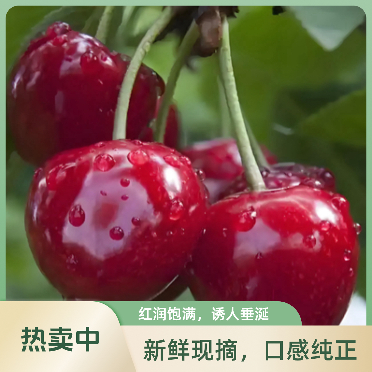 【顺丰次日达】大连美早大樱桃脆甜皮薄多汁3斤礼盒装3J特大果美早樱桃