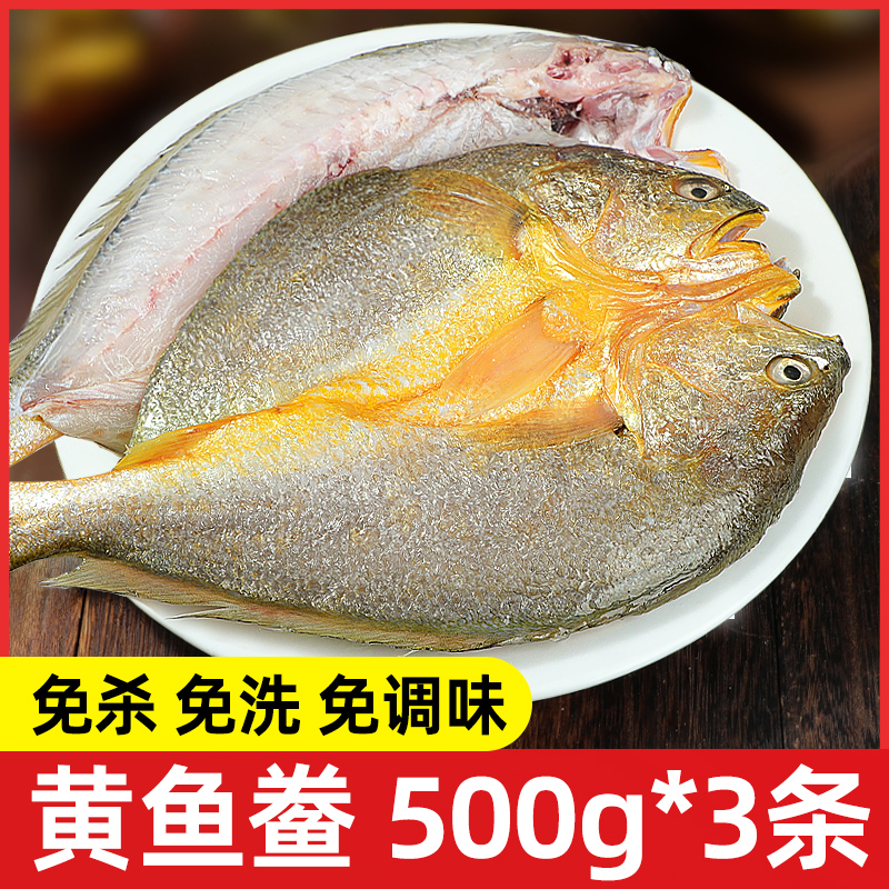 【专属福利】三去开背大黄花鱼500g*3条黄鱼鲞去内脏免处理