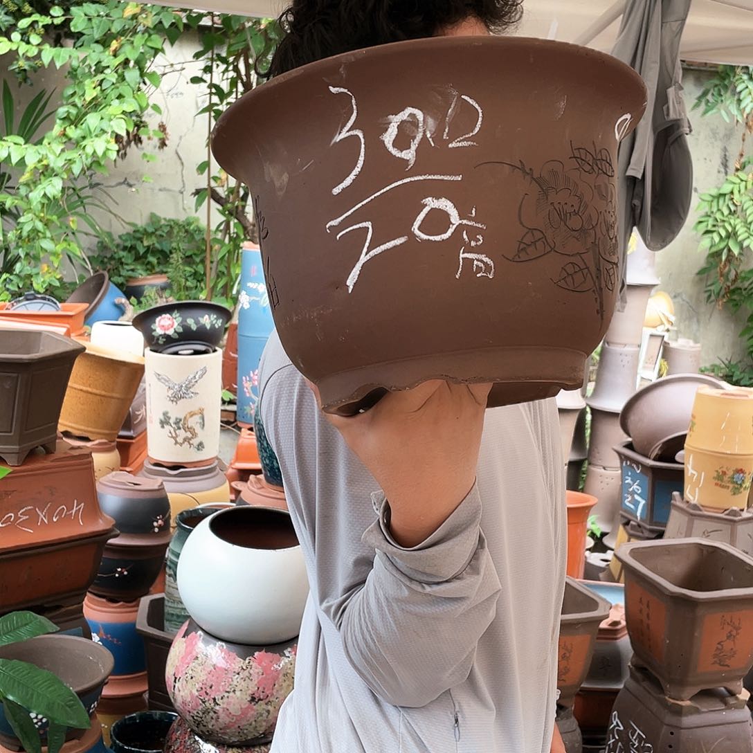 30平角金钟花盆紫砂花盆紫砂