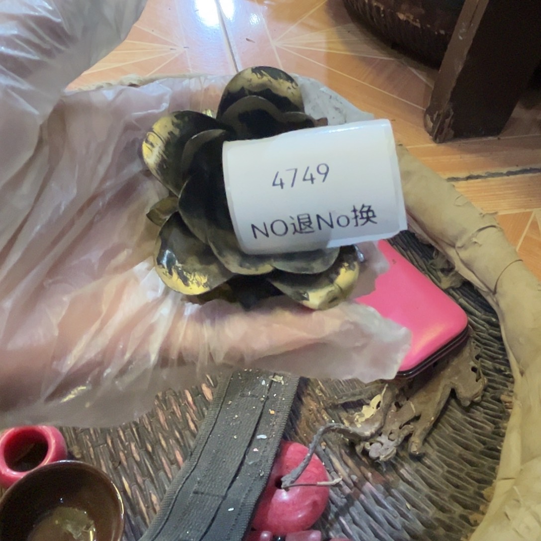 雨***晴老挝石4749号工艺品