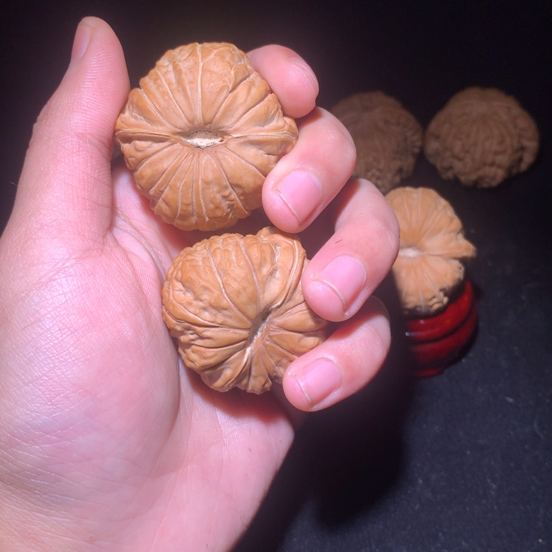 铭***彩南瓜南瓜南瓜南瓜墩