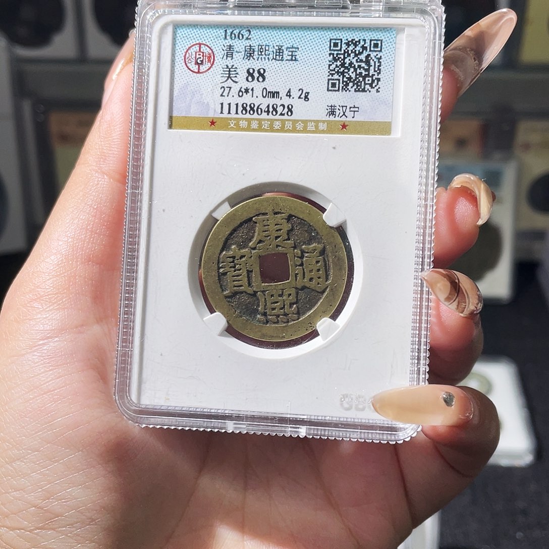 铜夏夏，康熙宁，评级码4828