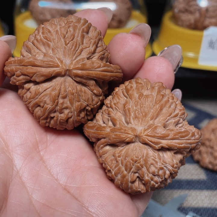 文玩核桃把件小****白狮子45