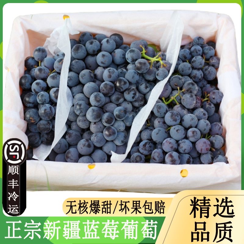 【顺丰包邮】正宗新疆蓝莓葡萄 无籽葡萄香甜多汁新疆维吾尔自治区