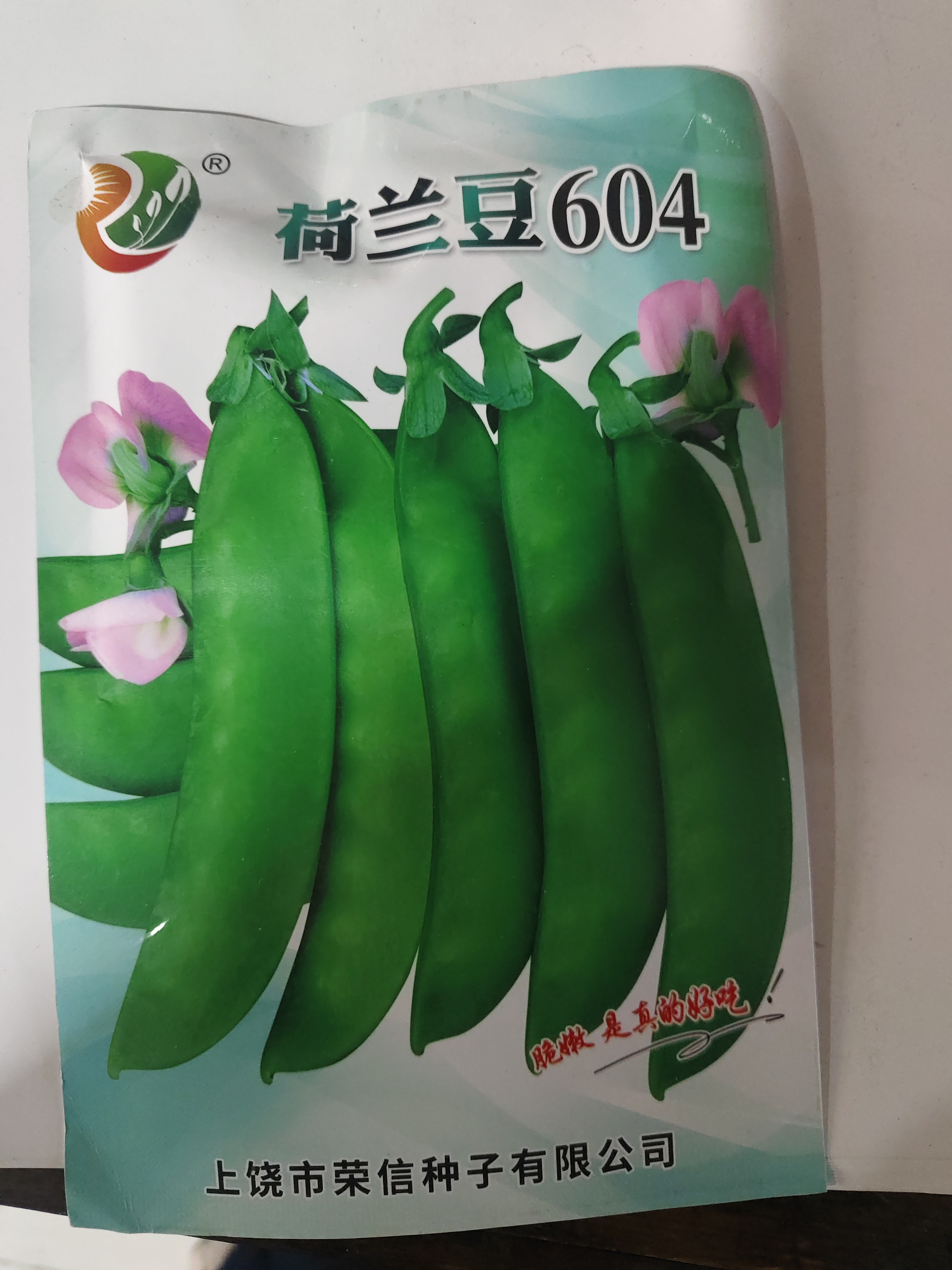 厚肉软荚子高产食荚红花菜豌豆四季蔬菜荷兰豆